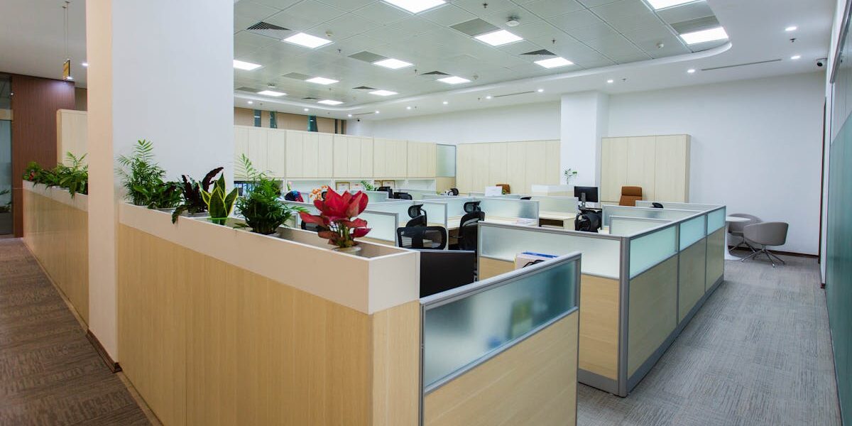 Modern office space with single working cubicles
