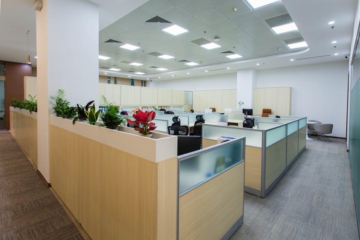 Modern office space with single working cubicles